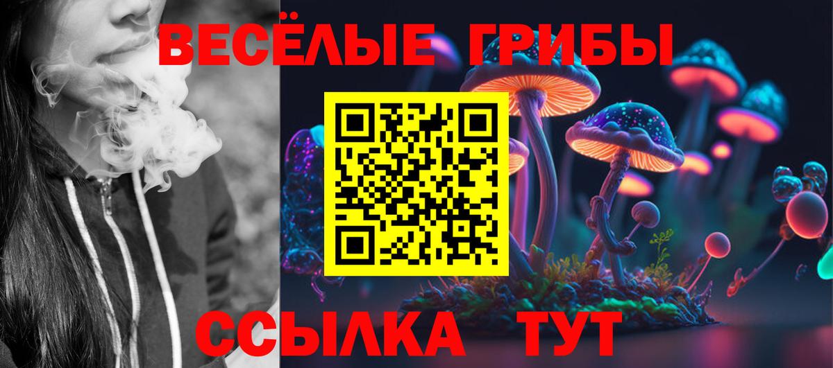 Псилоцибиновые грибы MAGIC MUSHROOMS Белебей