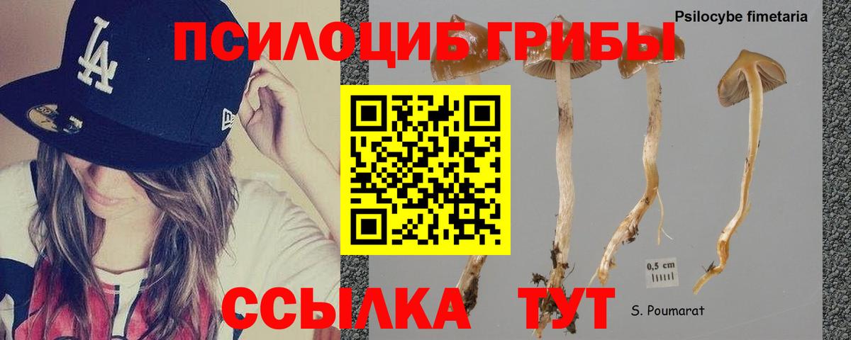 Белебей  Галлюциногенные грибы Psilocybe  Псилоцибиновые грибы ЛСД  Вход с VPN 